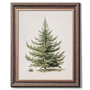 油彩画　Xmas tree Amazon.com: Christmas Tree Art Print, Vintage Fir Botanical
